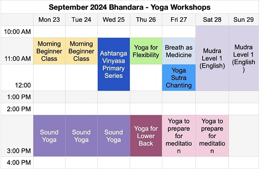 Workshop schedule